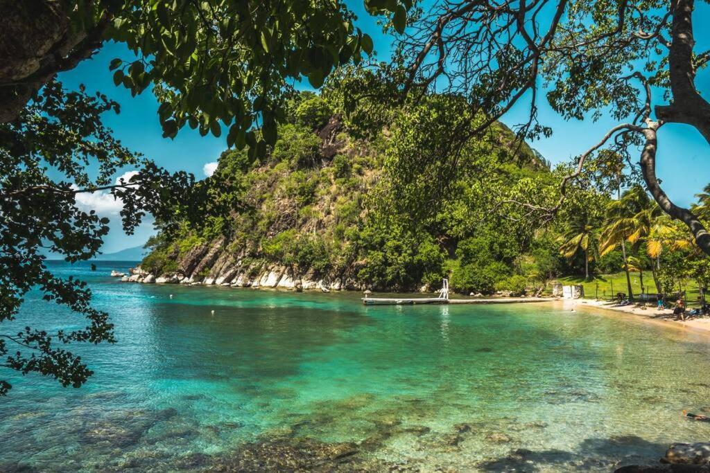 Caraibes Cottage Grenat Piscine Privee 900M De Grande Anse Deshaies Exterior foto