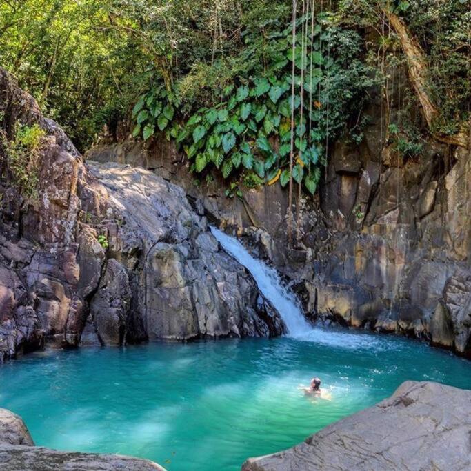 Caraibes Cottage Grenat Piscine Privee 900M De Grande Anse Deshaies Exterior foto