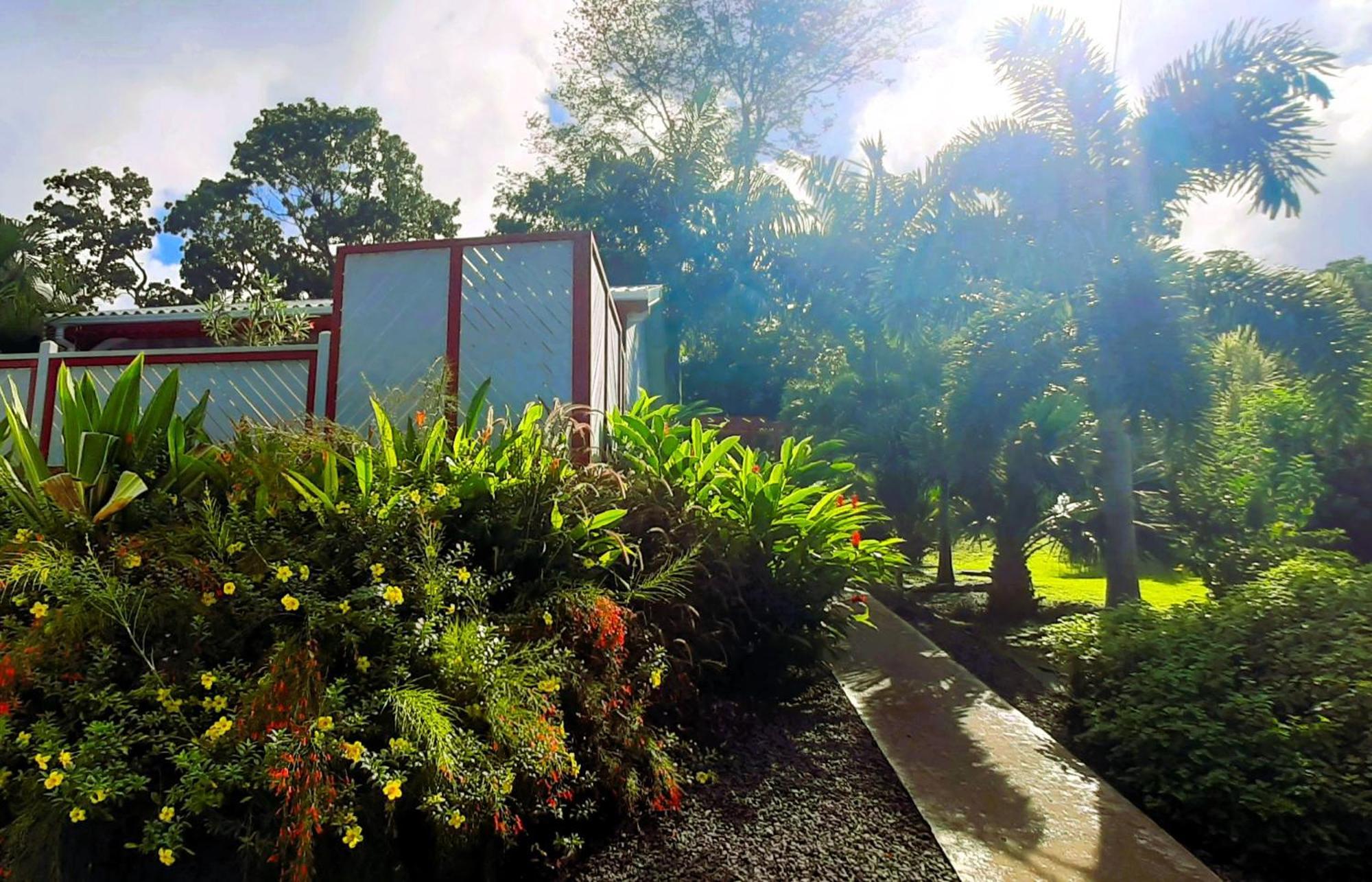 Caraibes Cottage Grenat Piscine Privee 900M De Grande Anse Deshaies Exterior foto