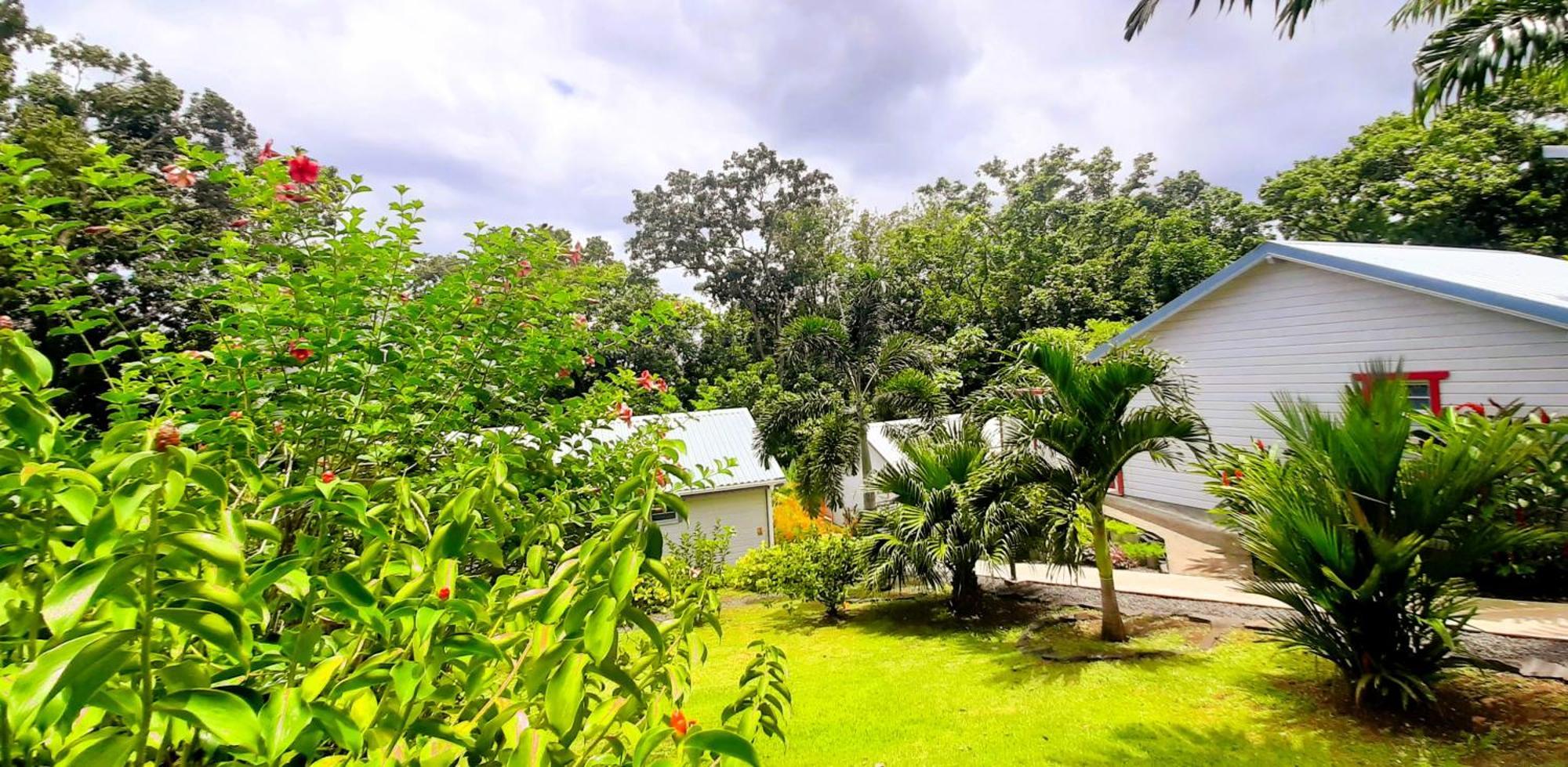 Caraibes Cottage Grenat Piscine Privee 900M De Grande Anse Deshaies Exterior foto
