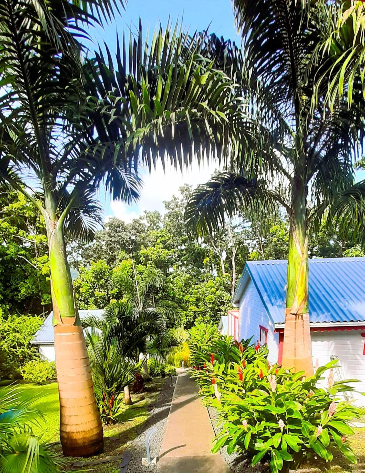 Caraibes Cottage Grenat Piscine Privee 900M De Grande Anse Deshaies Exterior foto