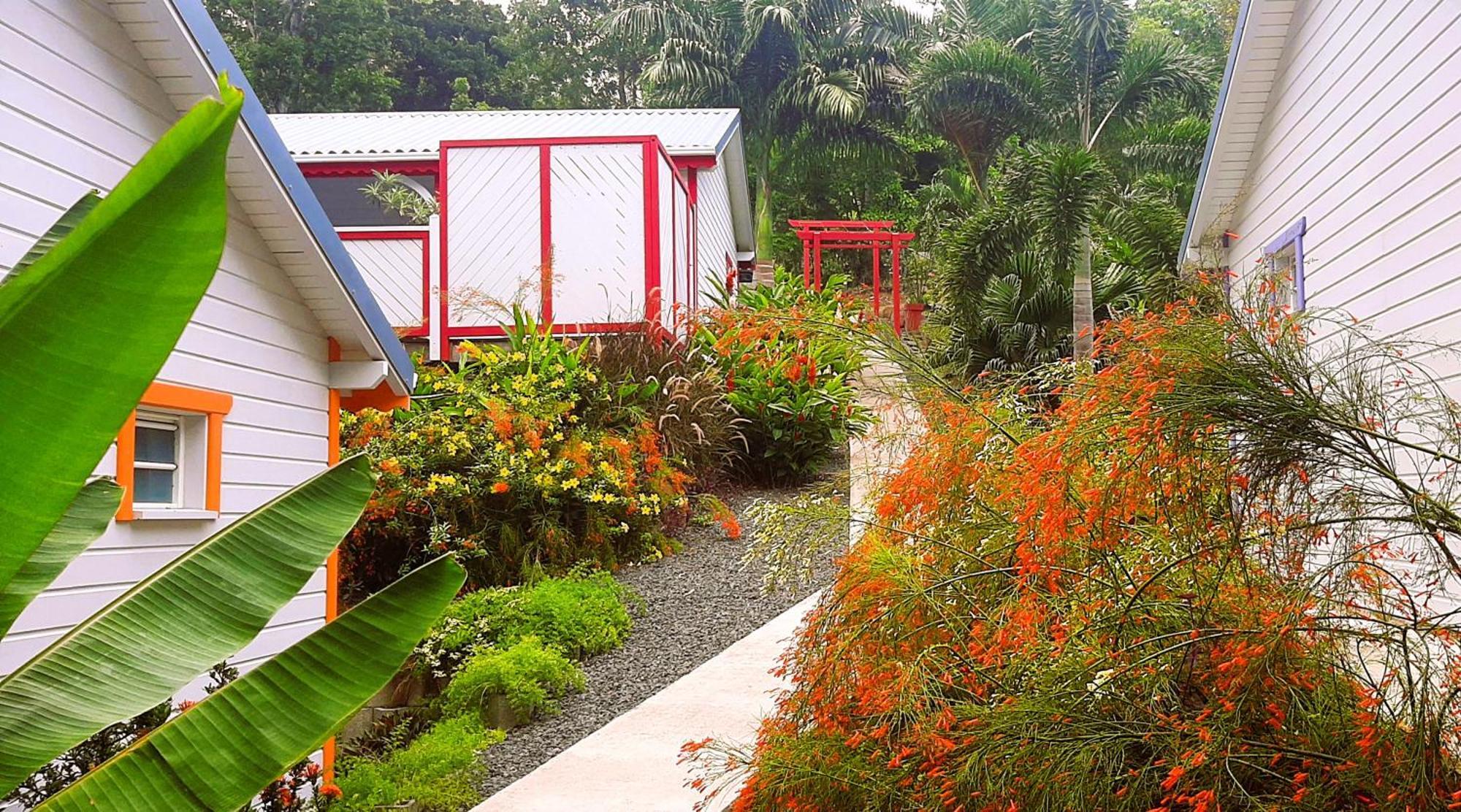 Caraibes Cottage Grenat Piscine Privee 900M De Grande Anse Deshaies Exterior foto
